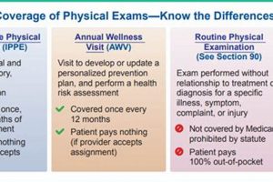 Wellness Visit vs. Physical Exam: What's the Difference? Physical Health & Fitness – Boost Your Body, Energy, and Wellbeing Wellness Visit vs. Physical Exam: What's the Difference? | Physical Health & Fitness – Boost Your Body, Energy, and Wellbeing