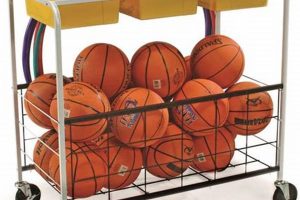 Best Physical Education Carts & Storage Physical Health & Fitness – Boost Your Body, Energy, and Wellbeing Best Physical Education Carts & Storage | Physical Health & Fitness – Boost Your Body, Energy, and Wellbeing