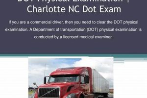 Fast DOT Physical Exam in Charlotte, NC | Renew Today Physical Health & Fitness – Boost Your Body, Energy, and Wellbeing Fast DOT Physical Exam in Charlotte, NC | Renew Today | Physical Health & Fitness – Boost Your Body, Energy, and Wellbeing