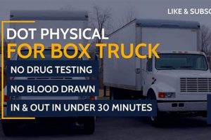Find Truck Stops with DOT Physicals Near You Physical Health & Fitness – Boost Your Body, Energy, and Wellbeing Find Truck Stops with DOT Physicals Near You | Physical Health & Fitness – Boost Your Body, Energy, and Wellbeing