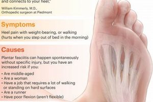 Best Plantar Fasciitis Physical Therapy Near Me Physical Health & Fitness – Boost Your Body, Energy, and Wellbeing Best Plantar Fasciitis Physical Therapy Near Me | Physical Health & Fitness – Boost Your Body, Energy, and Wellbeing