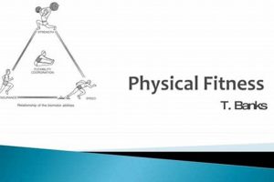 Exploring Bi Physical Attraction: A Deep Dive Physical Health & Fitness – Boost Your Body, Energy, and Wellbeing Exploring Bi Physical Attraction: A Deep Dive | Physical Health & Fitness – Boost Your Body, Energy, and Wellbeing