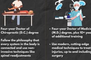 Choosing PT or Ortho: Which is Right for You? Physical Health & Fitness – Boost Your Body, Energy, and Wellbeing Choosing PT or Ortho: Which is Right for You? | Physical Health & Fitness – Boost Your Body, Energy, and Wellbeing