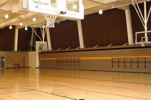 Premier Diamond Physical Education Center: Fitness Hub Physical Health & Fitness – Boost Your Body, Energy, and Wellbeing Premier Diamond Physical Education Center: Fitness Hub | Physical Health & Fitness – Boost Your Body, Energy, and Wellbeing