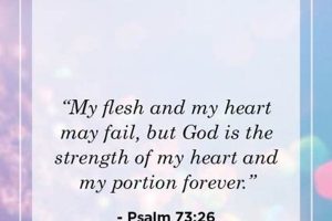 Scriptures for Healing After Shark Attack Trauma Physical Health & Fitness – Boost Your Body, Energy, and Wellbeing Scriptures for Healing After Shark Attack Trauma | Physical Health & Fitness – Boost Your Body, Energy, and Wellbeing