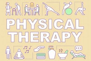 Essential Physical Therapist Words & Terms Physical Health & Fitness – Boost Your Body, Energy, and Wellbeing Essential Physical Therapist Words & Terms | Physical Health & Fitness – Boost Your Body, Energy, and Wellbeing