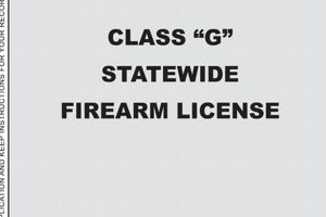 G License Physical Exam: A Complete Guide Physical Health & Fitness – Boost Your Body, Energy, and Wellbeing G License Physical Exam: A Complete Guide | Physical Health & Fitness – Boost Your Body, Energy, and Wellbeing