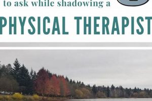 Top Questions to Ask a Physical Therapist Student Guide Physical Health & Fitness – Boost Your Body, Energy, and Wellbeing Top Questions to Ask a Physical Therapist Student Guide | Physical Health & Fitness – Boost Your Body, Energy, and Wellbeing