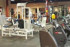 Best Physical Therapy Whitestone NY: Top Clinics Physical Health & Fitness – Boost Your Body, Energy, and Wellbeing Best Physical Therapy Whitestone NY: Top Clinics | Physical Health & Fitness – Boost Your Body, Energy, and Wellbeing