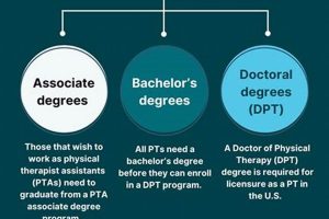 Become a Physical Therapist: Required Degree & Careers Physical Health & Fitness – Boost Your Body, Energy, and Wellbeing Become a Physical Therapist: Required Degree & Careers | Physical Health & Fitness – Boost Your Body, Energy, and Wellbeing