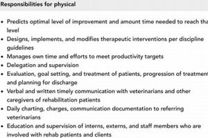 Essential Physical Requirements in Job Descriptions: Examples Physical Health & Fitness – Boost Your Body, Energy, and Wellbeing Essential Physical Requirements in Job Descriptions: Examples | Physical Health & Fitness – Boost Your Body, Energy, and Wellbeing