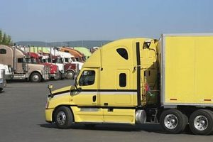 Find DOT Physicals at Truck Stops Near You Physical Health & Fitness – Boost Your Body, Energy, and Wellbeing Find DOT Physicals at Truck Stops Near You | Physical Health & Fitness – Boost Your Body, Energy, and Wellbeing