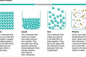 Will a B in History Affect My Physics Degree? Physical Health & Fitness – Boost Your Body, Energy, and Wellbeing Will a B in History Affect My Physics Degree? | Physical Health & Fitness – Boost Your Body, Energy, and Wellbeing