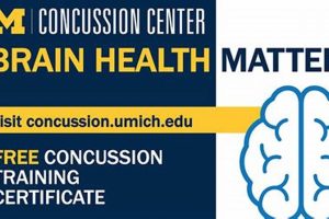 Concussion Certification For Physical Therapists Physical Health & Fitness – Boost Your Body, Energy, and Wellbeing Concussion Certification For Physical Therapists | Physical Health & Fitness – Boost Your Body, Energy, and Wellbeing