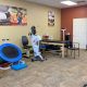 Top Lexington Physical Therapy Clinics & Experts | Physical Health & Fitness – Boost Your Body, Energy, and Wellbeing