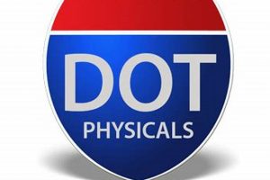 DOT Physical Chiropractor: Exam Prep & Care Physical Health & Fitness – Boost Your Body, Energy, and Wellbeing DOT Physical Chiropractor: Exam Prep & Care | Physical Health & Fitness – Boost Your Body, Energy, and Wellbeing