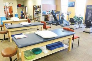 Top Genesis Physical Therapy Jobs & Careers Physical Health & Fitness – Boost Your Body, Energy, and Wellbeing Top Genesis Physical Therapy Jobs & Careers | Physical Health & Fitness – Boost Your Body, Energy, and Wellbeing
