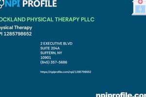 Top Rockland Physical Therapy in Suffern, NY Physical Health & Fitness – Boost Your Body, Energy, and Wellbeing Top Rockland Physical Therapy in Suffern, NY | Physical Health & Fitness – Boost Your Body, Energy, and Wellbeing