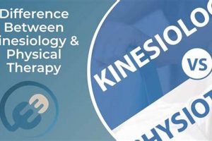 Kinesiology Vs Physical Therapy Physical Health & Fitness – Boost Your Body, Energy, and Wellbeing Kinesiology Vs Physical Therapy | Physical Health & Fitness – Boost Your Body, Energy, and Wellbeing
