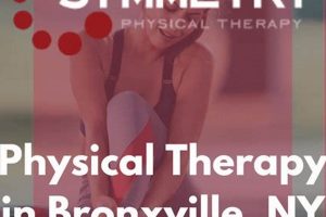 Best Physical Therapy Bronxville NY | Expert PT Physical Health & Fitness – Boost Your Body, Energy, and Wellbeing Best Physical Therapy Bronxville NY | Expert PT | Physical Health & Fitness – Boost Your Body, Energy, and Wellbeing