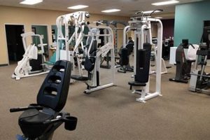 Top Rancho Cucamonga Physical Therapy: Rehab & Care Physical Health & Fitness – Boost Your Body, Energy, and Wellbeing Top Rancho Cucamonga Physical Therapy: Rehab & Care | Physical Health & Fitness – Boost Your Body, Energy, and Wellbeing