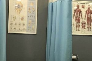 Best Physical Therapy in Elmhurst NY: Top Clinics Physical Health & Fitness – Boost Your Body, Energy, and Wellbeing Best Physical Therapy in Elmhurst NY: Top Clinics | Physical Health & Fitness – Boost Your Body, Energy, and Wellbeing