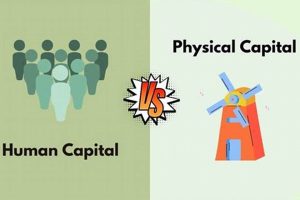 Investing in Human Capital vs. Physical Capital: A Guide Physical Health & Fitness – Boost Your Body, Energy, and Wellbeing Investing in Human Capital vs. Physical Capital: A Guide | Physical Health & Fitness – Boost Your Body, Energy, and Wellbeing