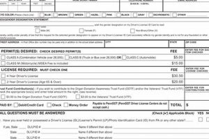 PA Physical Form Requirements & Guidelines Physical Health & Fitness – Boost Your Body, Energy, and Wellbeing PA Physical Form Requirements & Guidelines | Physical Health & Fitness – Boost Your Body, Energy, and Wellbeing