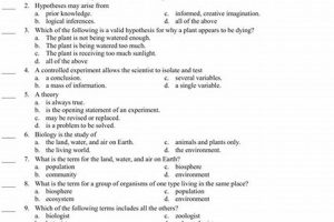 Ace Your Physical Science Final Exam: Answer Key & Guide Physical Health & Fitness – Boost Your Body, Energy, and Wellbeing Ace Your Physical Science Final Exam: Answer Key & Guide | Physical Health & Fitness – Boost Your Body, Energy, and Wellbeing