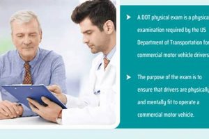 Fast & Reliable DOT Physicals in Houston, TX Physical Health & Fitness – Boost Your Body, Energy, and Wellbeing Fast & Reliable DOT Physicals in Houston, TX | Physical Health & Fitness – Boost Your Body, Energy, and Wellbeing