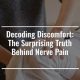 Nerve Pain Worse After Physical Therapy' | Physical Health & Fitness – Boost Your Body, Energy, and Wellbeing