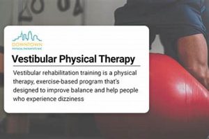 Vestibular Courses For Physical Therapists Physical Health & Fitness – Boost Your Body, Energy, and Wellbeing Vestibular Courses For Physical Therapists | Physical Health & Fitness – Boost Your Body, Energy, and Wellbeing