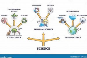 Exploring Life & Physical Sciences at UH Physical Health & Fitness – Boost Your Body, Energy, and Wellbeing Exploring Life & Physical Sciences at UH | Physical Health & Fitness – Boost Your Body, Energy, and Wellbeing