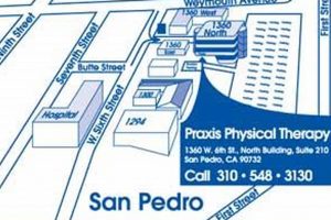 Best Physical Therapy in San Pedro, CA | Top Clinics Physical Health & Fitness – Boost Your Body, Energy, and Wellbeing Best Physical Therapy in San Pedro, CA | Top Clinics | Physical Health & Fitness – Boost Your Body, Energy, and Wellbeing