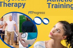 Physical Therapist Vs Athletic Trainer Physical Health & Fitness – Boost Your Body, Energy, and Wellbeing Physical Therapist Vs Athletic Trainer | Physical Health & Fitness – Boost Your Body, Energy, and Wellbeing
