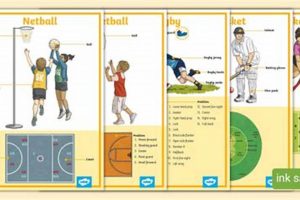 Essential Physical Education Equipment List & Guide Physical Health & Fitness – Boost Your Body, Energy, and Wellbeing Essential Physical Education Equipment List & Guide | Physical Health & Fitness – Boost Your Body, Energy, and Wellbeing