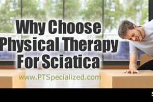 Top Sciatica Physical Therapy Near Me: Find Relief Now Physical Health & Fitness – Boost Your Body, Energy, and Wellbeing Top Sciatica Physical Therapy Near Me: Find Relief Now | Physical Health & Fitness – Boost Your Body, Energy, and Wellbeing