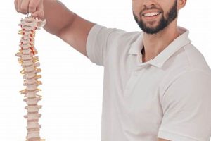 Best Outreach Manual Physical Therapy in Rosedale, NY Physical Health & Fitness – Boost Your Body, Energy, and Wellbeing Best Outreach Manual Physical Therapy in Rosedale, NY | Physical Health & Fitness – Boost Your Body, Energy, and Wellbeing