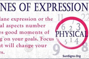 Numerology 0: Physical Plane Expression & Meaning Physical Health & Fitness – Boost Your Body, Energy, and Wellbeing Numerology 0: Physical Plane Expression & Meaning | Physical Health & Fitness – Boost Your Body, Energy, and Wellbeing