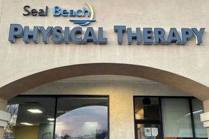 Best Physical Therapy in Seal Beach, CA Physical Health & Fitness – Boost Your Body, Energy, and Wellbeing Best Physical Therapy in Seal Beach, CA | Physical Health & Fitness – Boost Your Body, Energy, and Wellbeing