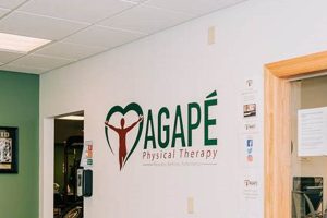 Top Agape Physical Therapy in Greece NY: Find Relief Physical Health & Fitness – Boost Your Body, Energy, and Wellbeing Top Agape Physical Therapy in Greece NY: Find Relief | Physical Health & Fitness – Boost Your Body, Energy, and Wellbeing