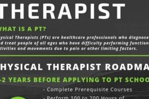 What Do You Major In To Become A Physical Therapist Physical Health & Fitness – Boost Your Body, Energy, and Wellbeing What Do You Major In To Become A Physical Therapist | Physical Health & Fitness – Boost Your Body, Energy, and Wellbeing