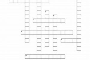 Fun PE Crossword Puzzles: Test Your Fitness Knowledge! Physical Health & Fitness – Boost Your Body, Energy, and Wellbeing Fun PE Crossword Puzzles: Test Your Fitness Knowledge! | Physical Health & Fitness – Boost Your Body, Energy, and Wellbeing