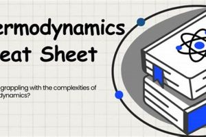 Essential Physics Thermodynamics Cheat Sheet Physical Health & Fitness – Boost Your Body, Energy, and Wellbeing Essential Physics Thermodynamics Cheat Sheet | Physical Health & Fitness – Boost Your Body, Energy, and Wellbeing