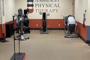 Top Amherst Physical Therapy Clinics & Services Physical Health & Fitness – Boost Your Body, Energy, and Wellbeing Top Amherst Physical Therapy Clinics & Services | Physical Health & Fitness – Boost Your Body, Energy, and Wellbeing