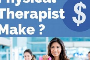 Illinois Physical Therapist Salary Guide 2024 Physical Health & Fitness – Boost Your Body, Energy, and Wellbeing Illinois Physical Therapist Salary Guide 2024 | Physical Health & Fitness – Boost Your Body, Energy, and Wellbeing