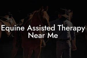 Best Equine Physical Therapy Near Me | Top Therapists Physical Health & Fitness – Boost Your Body, Energy, and Wellbeing Best Equine Physical Therapy Near Me | Top Therapists | Physical Health & Fitness – Boost Your Body, Energy, and Wellbeing
