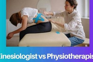 Choosing a Kinesiologist vs. Physical Therapist: Which is Right for You? Physical Health & Fitness – Boost Your Body, Energy, and Wellbeing Choosing a Kinesiologist vs. Physical Therapist: Which is Right for You? | Physical Health & Fitness – Boost Your Body, Energy, and Wellbeing