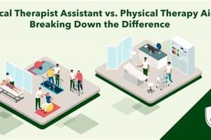PTA Aide vs. Assistant: Choosing Your PT Career Path Physical Health & Fitness – Boost Your Body, Energy, and Wellbeing PTA Aide vs. Assistant: Choosing Your PT Career Path | Physical Health & Fitness – Boost Your Body, Energy, and Wellbeing