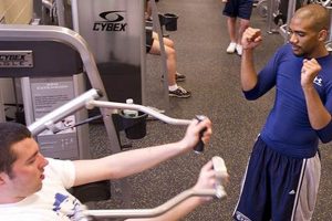 Hofstra Physical Education Building: A Hub for Wellness Physical Health & Fitness – Boost Your Body, Energy, and Wellbeing Hofstra Physical Education Building: A Hub for Wellness | Physical Health & Fitness – Boost Your Body, Energy, and Wellbeing